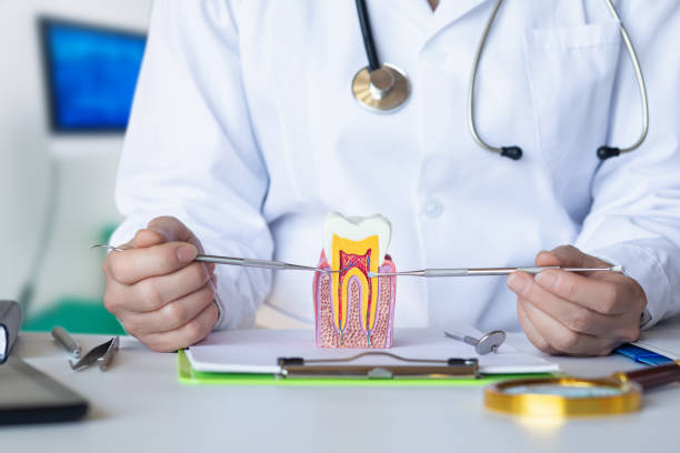 Best Emergency Dental Care for Abscessed Tooth in Glen Lyon, PA